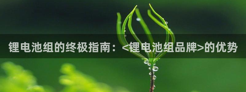 凯时国际最新