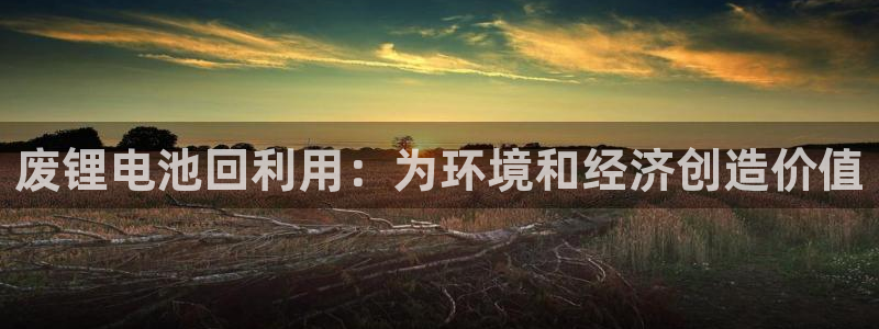 尊龙官方网址