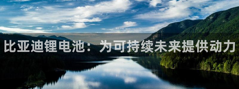 尊龙凯时平台官网