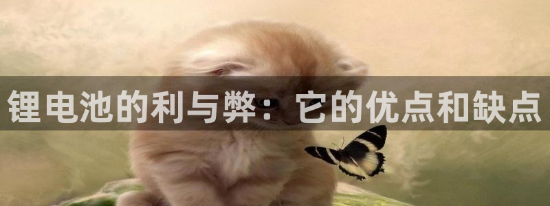 尊龙官网国际