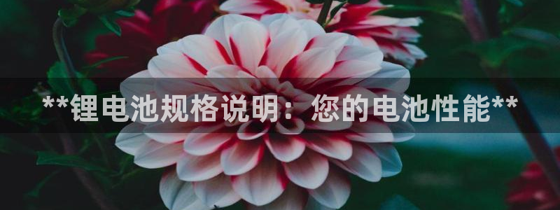 z6尊龙官网平台下载