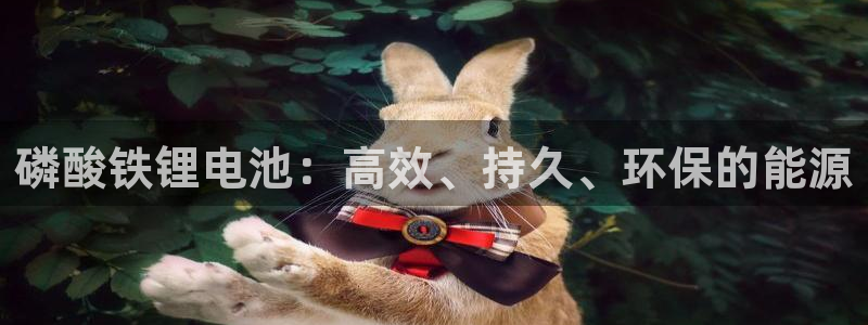 尊龙z6官网ag