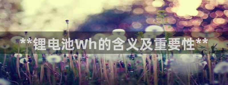 尊龙/人生就是博