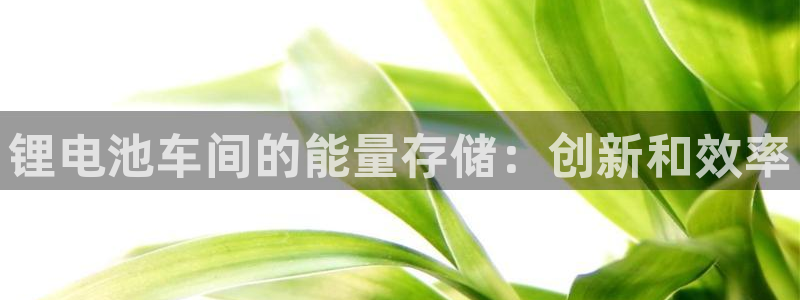 凯时国际官方版