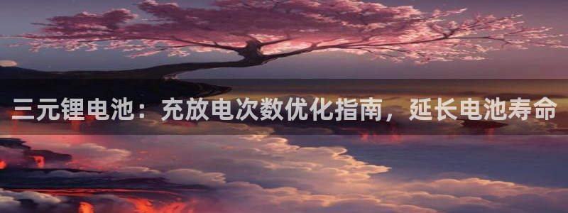 Z6尊龙老版