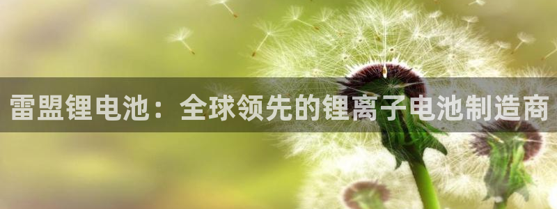 尊龙凯时网站怎么样