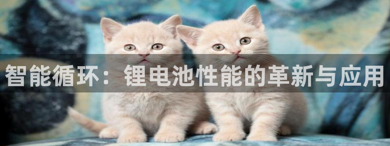 ag尊龙怎么样