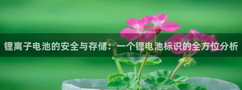 尊龙得过奥斯卡吗