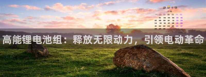 尊龙新版app首页：高能锂电池组：释放无限动力，引领电动革命