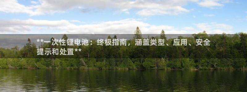 尊龙官网首页：**一次性锂电池：终极指南，涵盖类型、应用、安全
提示和处置**