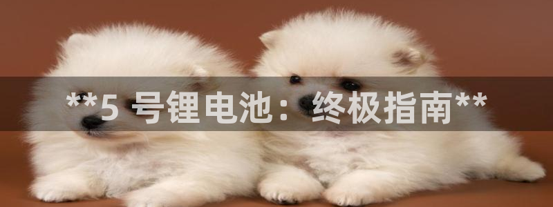 尊龙凯时法拉币：**5 号锂电池：终极指南**