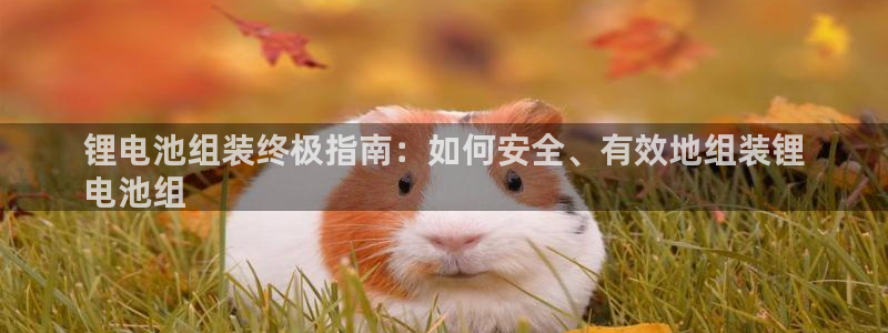 尊龙人生就是博登陆