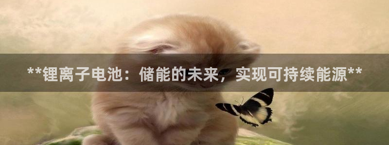 尊龙信息科技有限公司