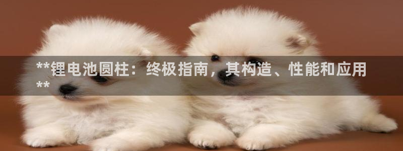 凯时官网app下载官方网站