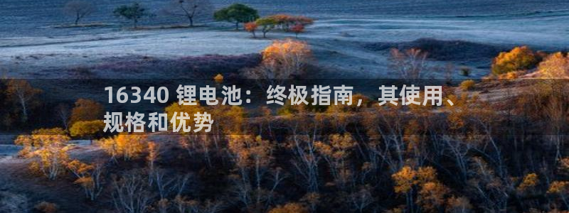 尊龙凯时几百万怎么下款