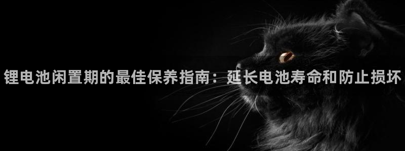 kb88凯时会员登录：锂电池闲置期的最佳保养指南：延长电池寿命和防止损坏