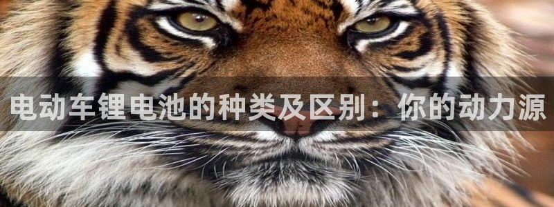 尊龙网址苹果版下载：电动车锂电池的种类及区别：你的动力源
