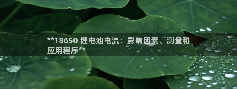 尊龙 国外：**18650 锂电池电流：影响因素、测量和
应用程序**