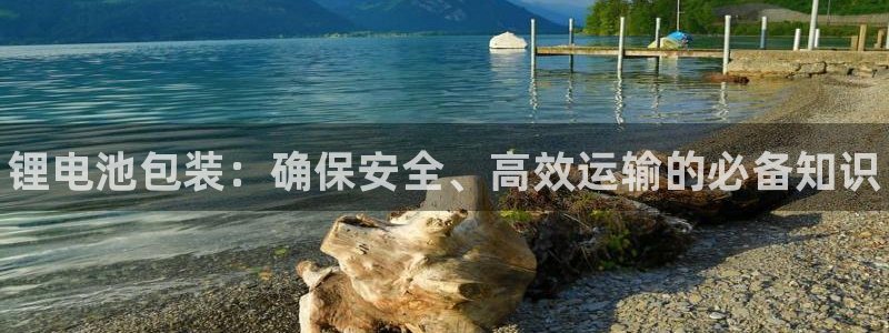 尊龙凯时取款不成功