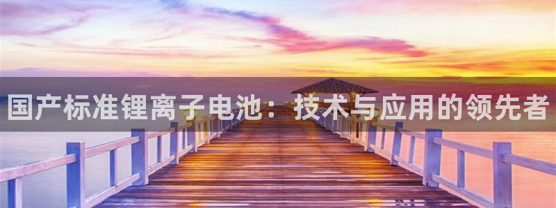 尊龙体育游戏平台