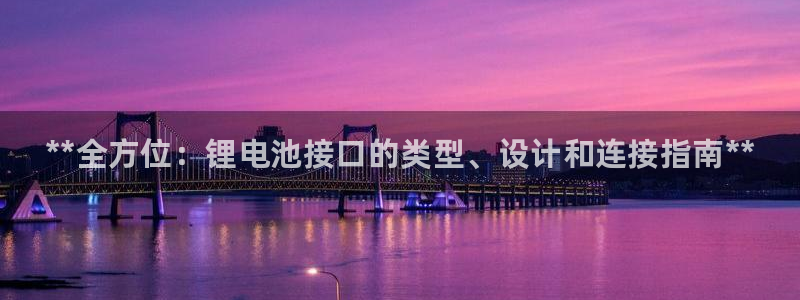 凯时尊龙平台登录：**全方位：锂电池接口的类型、设计和连接指南**