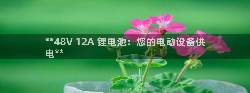 尊龙凯时网站登录：**48V 12A 锂电池：您的电动设备供
电**