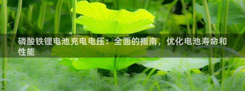 尊龙t300和t400哪个好：磷酸铁锂电池充电电压：全面的指南，优化电池寿命和
性能