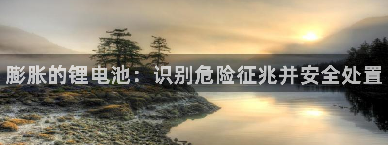 尊龙凯时平台信誉怎样：膨胀的锂电池：识别危险征兆并安全处置